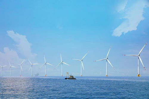 向海筑網 5G助推海上風電高質量發展