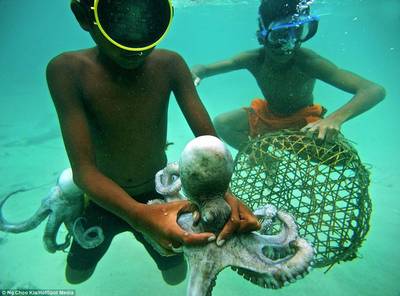 漂泊與連接 巴夭人的海上日常與現(xiàn)代陸路國際貨運代理業(yè)務