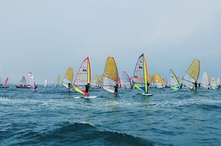 海上揚帆，陸路通達 國際貨運代理業務的雙重變奏