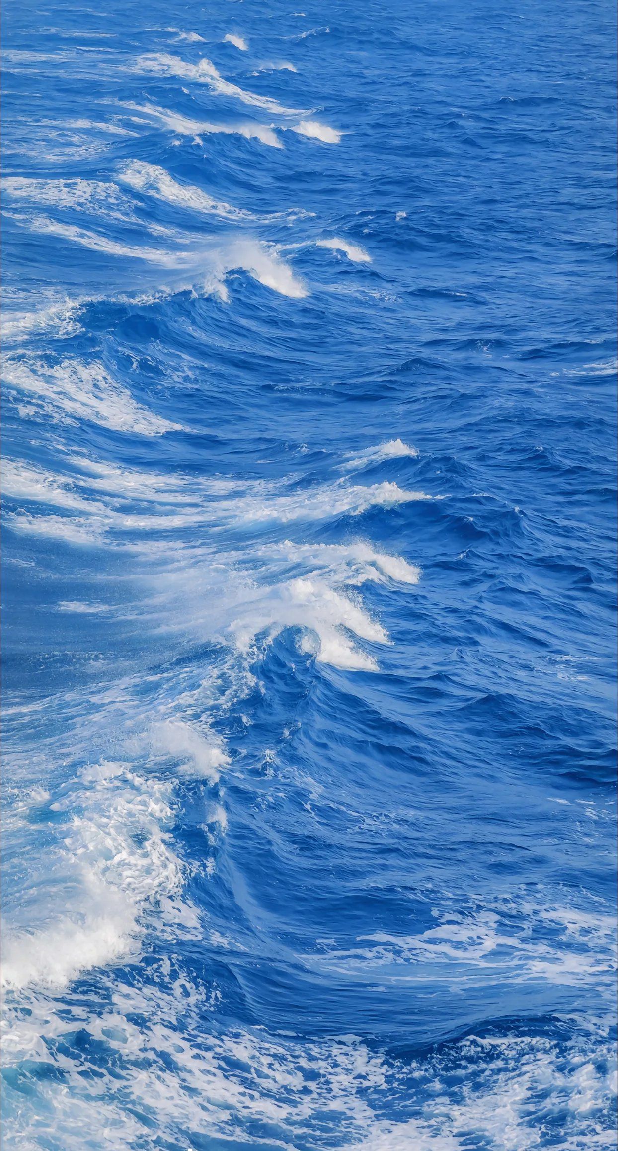 海上漂，心飛揚——探索陸路國際貨運代理業務的獨特魅力